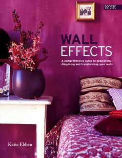 обложка книги Wall Effects книга Wall Effects, автор: Katie Ebben